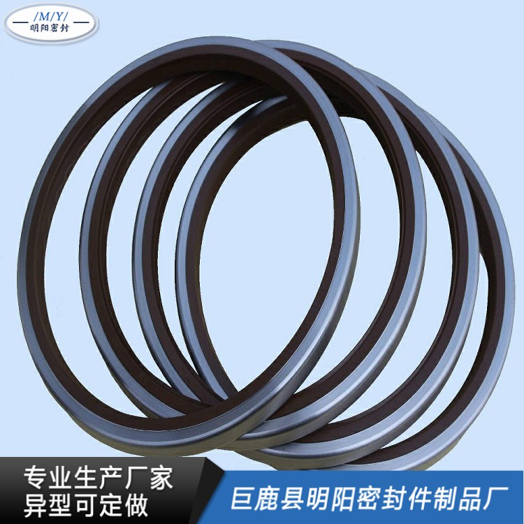外露骨架油封